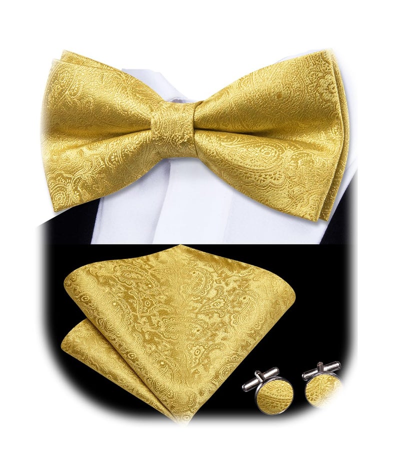 Dubulle Mens Gold Paisley Striped Bowtie Set Pre-tied Bowtie for Men and Pocket Square Set Wedding Business - Image 1